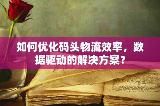 如何优化码头物流效率，数据驱动的解决方案？
