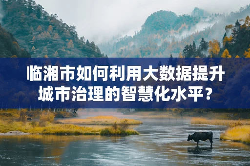 临湘市如何利用大数据提升城市治理的智慧化水平？