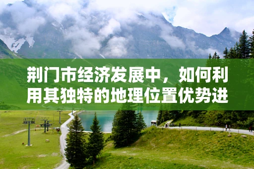 荆门市经济发展中，如何利用其独特的地理位置优势进行产业布局优化？