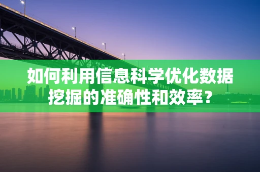 如何利用信息科学优化数据挖掘的准确性和效率？