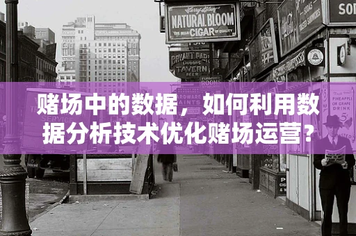 赌场中的数据，如何利用数据分析技术优化赌场运营？