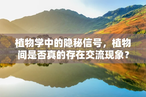 植物学中的隐秘信号，植物间是否真的存在交流现象？