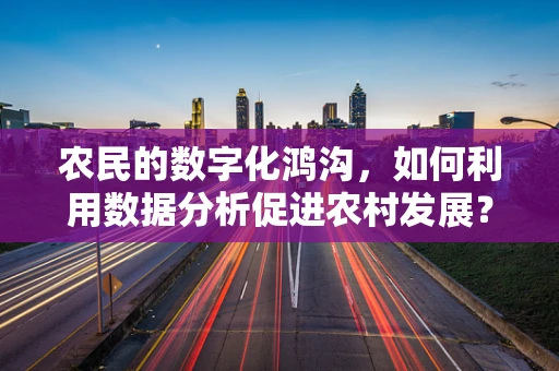 农民的数字化鸿沟，如何利用数据分析促进农村发展？