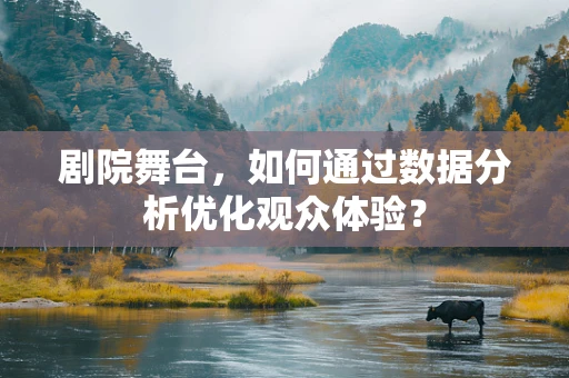 剧院舞台，如何通过数据分析优化观众体验？