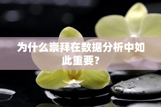 为什么崇拜在数据分析中如此重要？