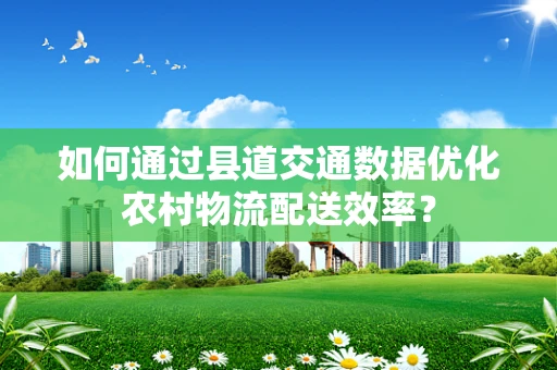 如何通过县道交通数据优化农村物流配送效率？