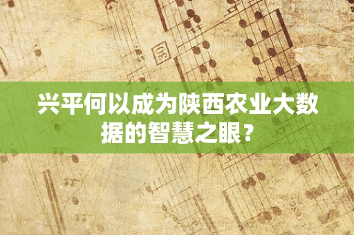 兴平何以成为陕西农业大数据的智慧之眼？