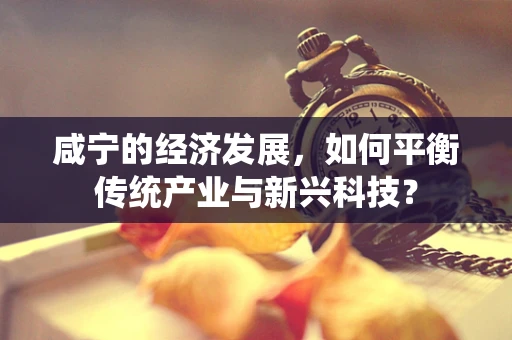 咸宁的经济发展，如何平衡传统产业与新兴科技？