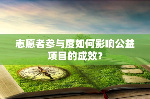 志愿者参与度如何影响公益项目的成效？