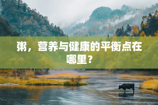 粥，营养与健康的平衡点在哪里？