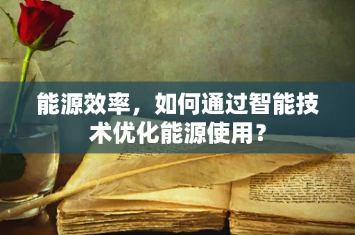 能源效率，如何通过智能技术优化能源使用？