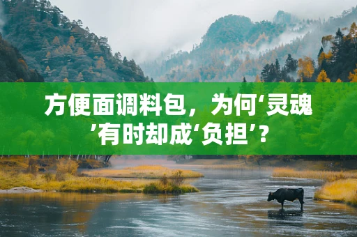 方便面调料包，为何‘灵魂’有时却成‘负担’？