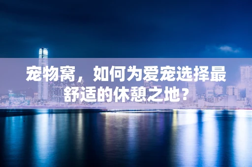 宠物窝，如何为爱宠选择最舒适的休憩之地？