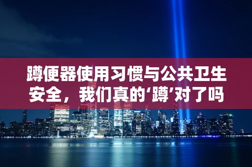 蹲便器使用习惯与公共卫生安全，我们真的‘蹲’对了吗？