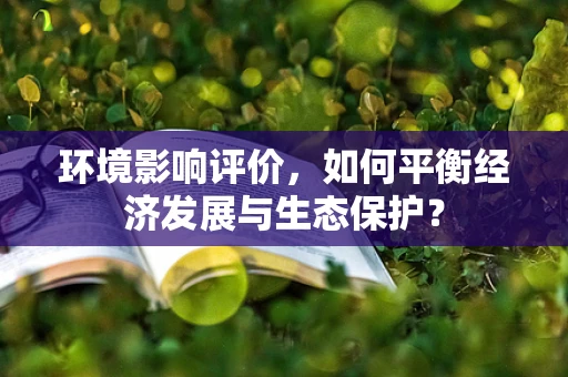 环境影响评价，如何平衡经济发展与生态保护？