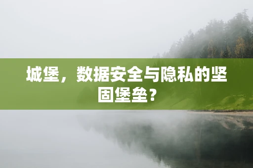 城堡，数据安全与隐私的坚固堡垒？