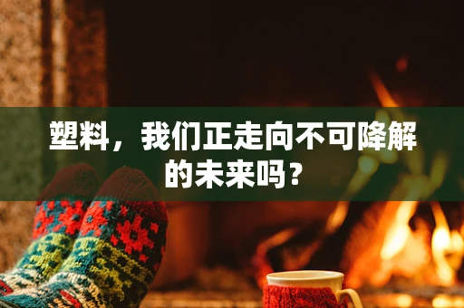 塑料，我们正走向不可降解的未来吗？