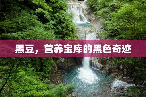黑豆，营养宝库的黑色奇迹