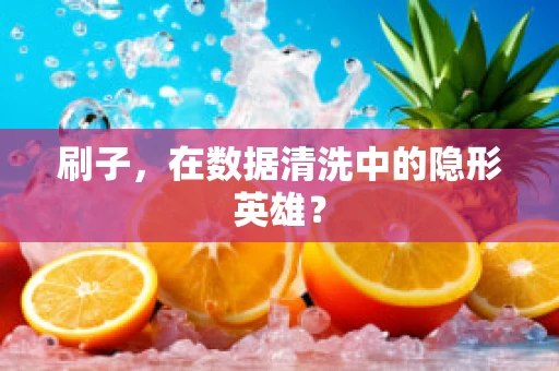刷子，在数据清洗中的隐形英雄？