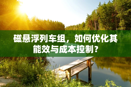 磁悬浮列车组，如何优化其能效与成本控制？