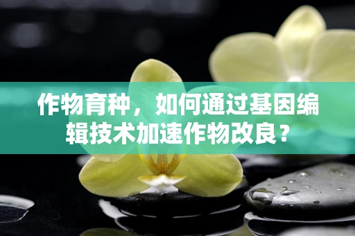 作物育种，如何通过基因编辑技术加速作物改良？