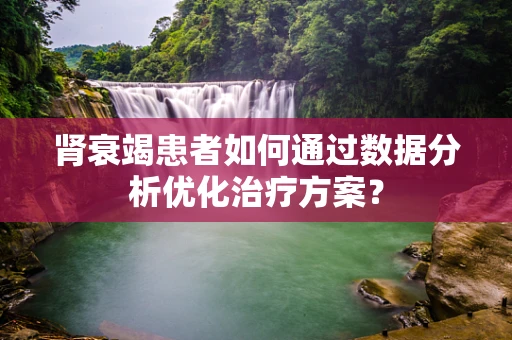 肾衰竭患者如何通过数据分析优化治疗方案？