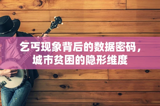 乞丐现象背后的数据密码，城市贫困的隐形维度