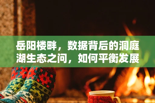 岳阳楼畔，数据背后的洞庭湖生态之问，如何平衡发展与保护？
