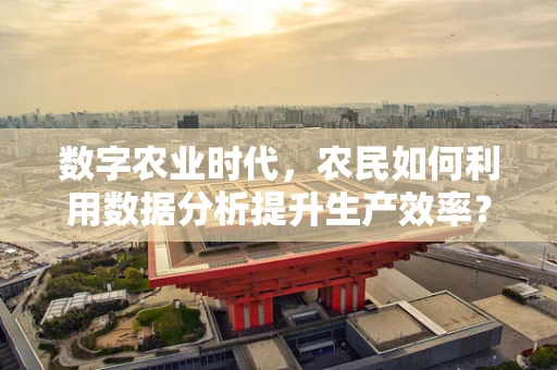数字农业时代，农民如何利用数据分析提升生产效率？