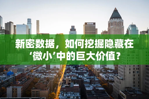新密数据，如何挖掘隐藏在‘微小’中的巨大价值？