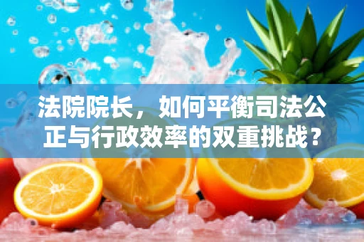 法院院长，如何平衡司法公正与行政效率的双重挑战？
