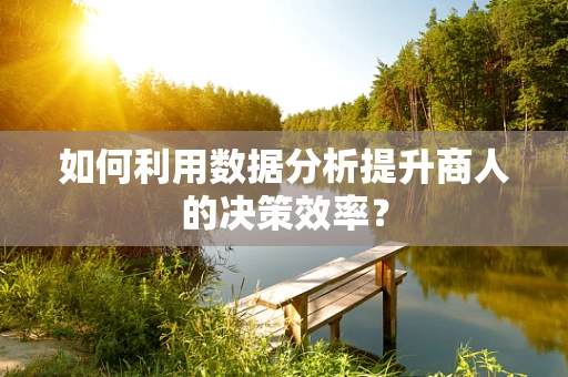 如何利用数据分析提升商人的决策效率？