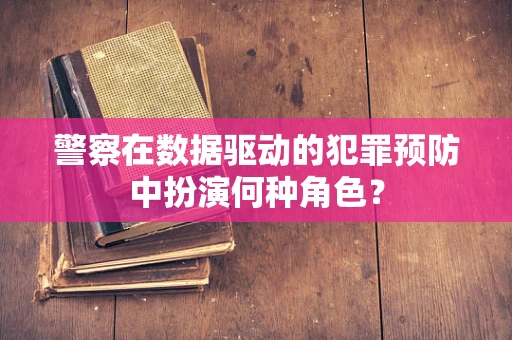 警察在数据驱动的犯罪预防中扮演何种角色？