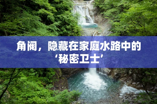 角阀，隐藏在家庭水路中的‘秘密卫士’