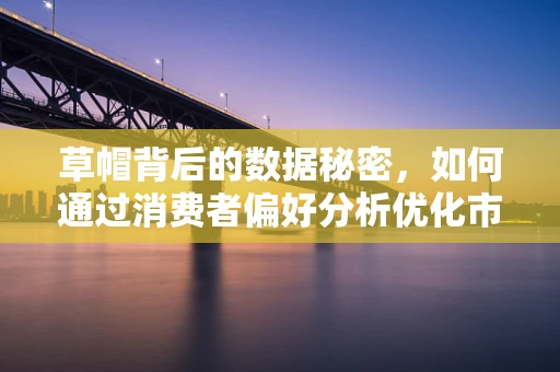 草帽背后的数据秘密，如何通过消费者偏好分析优化市场策略？
