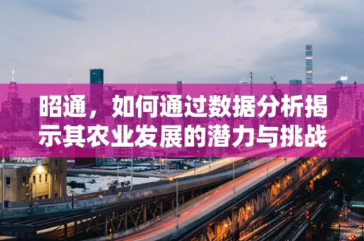 昭通，如何通过数据分析揭示其农业发展的潜力与挑战？