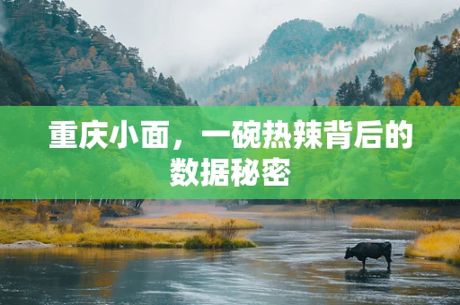 重庆小面，一碗热辣背后的数据秘密