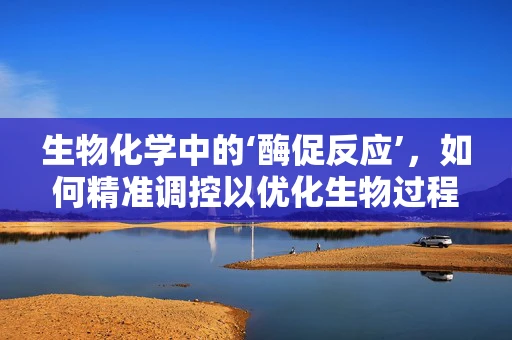 生物化学中的‘酶促反应’，如何精准调控以优化生物过程？