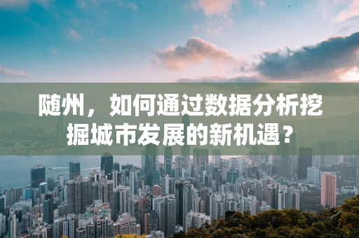 随州，如何通过数据分析挖掘城市发展的新机遇？
