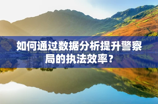 如何通过数据分析提升警察局的执法效率？