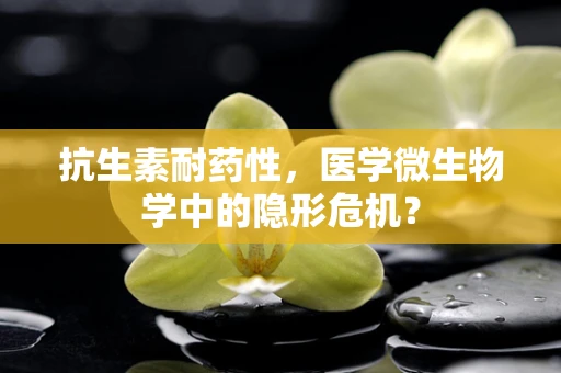 抗生素耐药性，医学微生物学中的隐形危机？