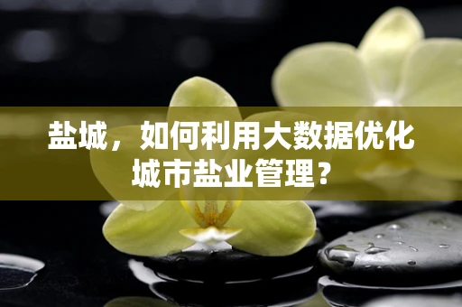 盐城，如何利用大数据优化城市盐业管理？