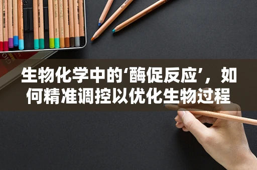 生物化学中的‘酶促反应’，如何精准调控以优化生物过程？