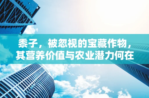 黍子，被忽视的宝藏作物，其营养价值与农业潜力何在？