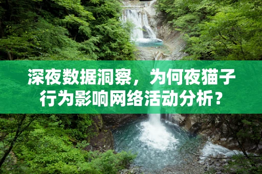 深夜数据洞察，为何夜猫子行为影响网络活动分析？