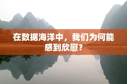 在数据海洋中，我们为何能感到欣慰？