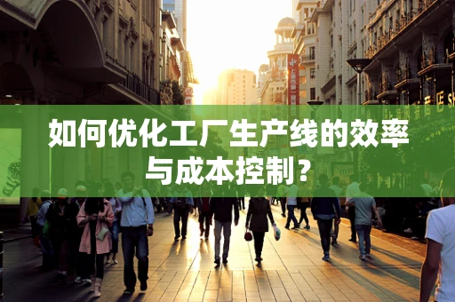 如何优化工厂生产线的效率与成本控制？