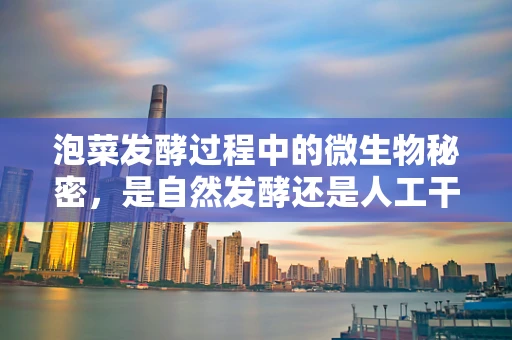 泡菜发酵过程中的微生物秘密，是自然发酵还是人工干预更优？