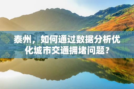 泰州，如何通过数据分析优化城市交通拥堵问题？