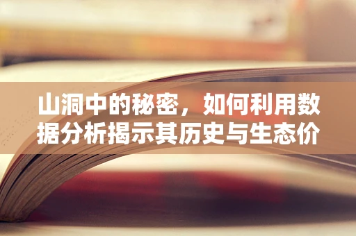山洞中的秘密，如何利用数据分析揭示其历史与生态价值？
